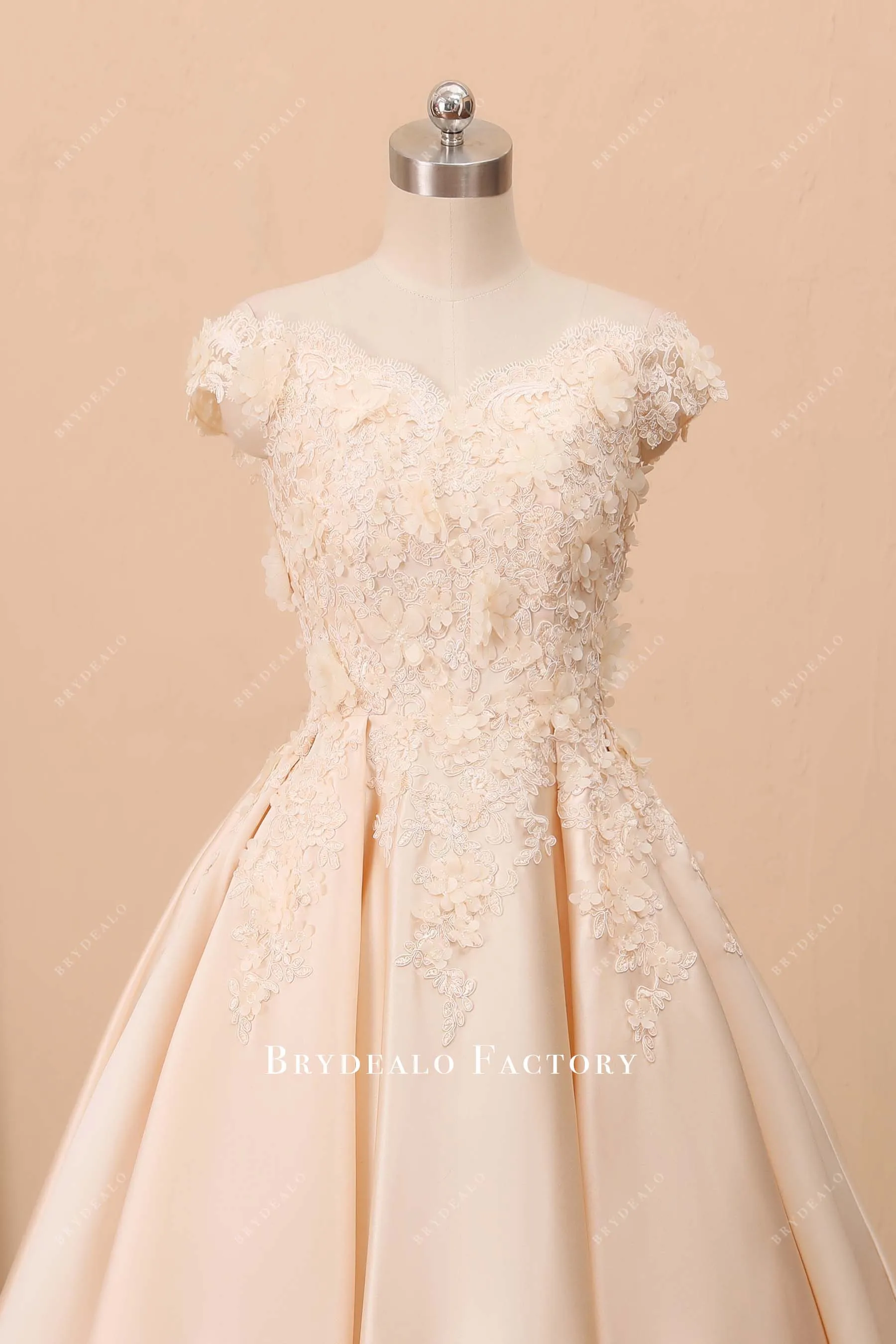 Off-shoulder Champagne 3D Lace Princess Wedding Ball Gown
